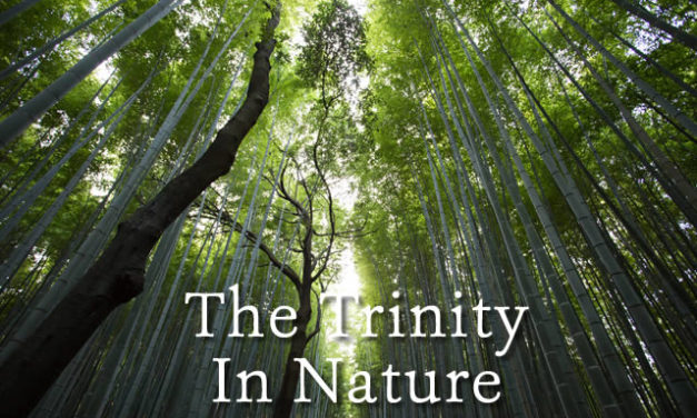 The Trinity in Nature