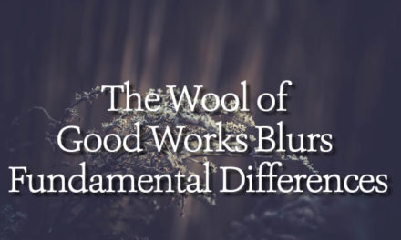 The Wool of Good Works Blurs Fundamental Differences