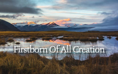 Firstborn of All Creation