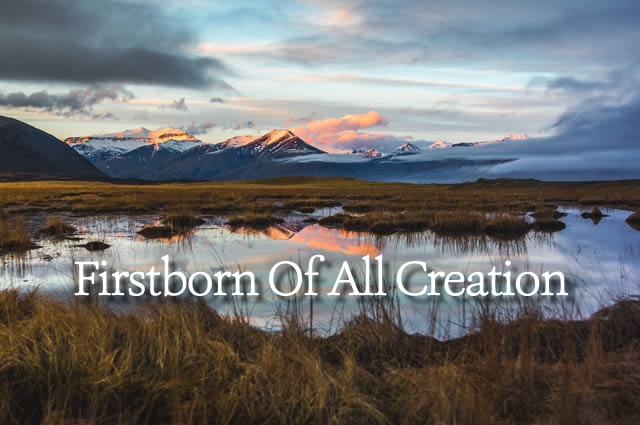 Firstborn of All Creation