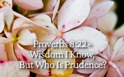 Proverbs 8:22 – Wisdom I Know, But Who Is Prudence?
