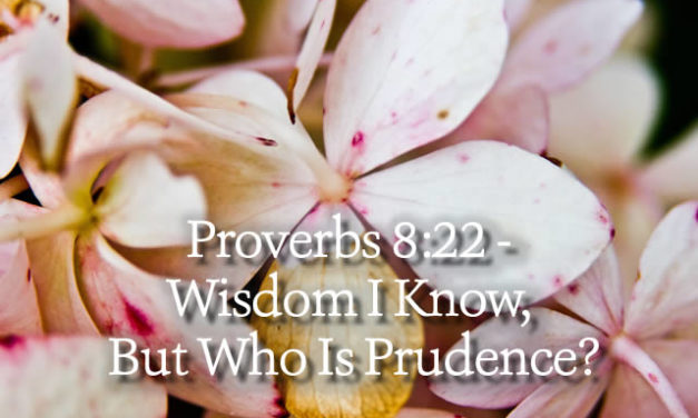 Proverbs 8:22 – Wisdom I Know, But Who Is Prudence?